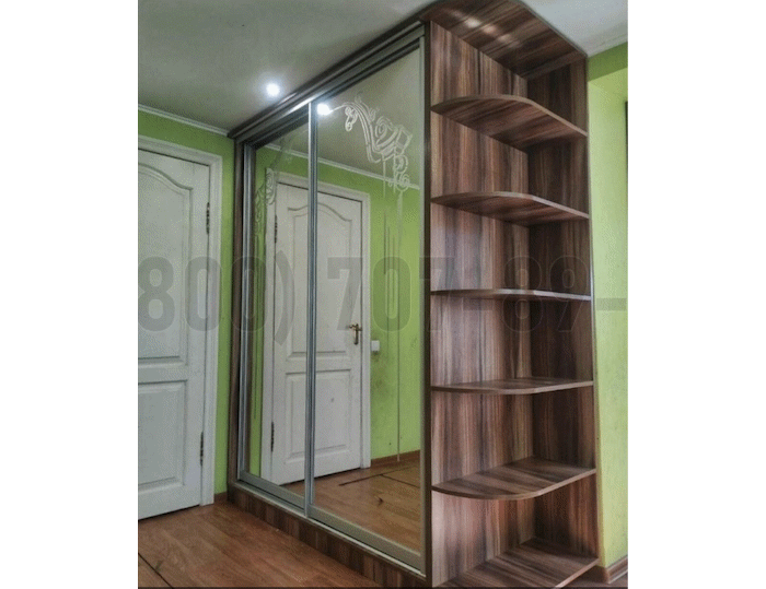 Серебряный шкаф в Старой Купавне