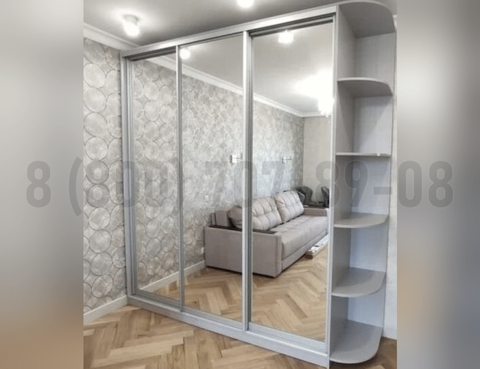 Серебряный шкаф в Старой Купавне
